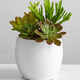 Image for article titled Gifts for Your Boss